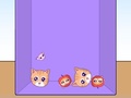                                                                       Evolution of Cat Memes ﻞﯿﮭﮐ