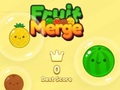                                                                      Fruit Merge ﻞﯿﮭﮐ
