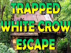                                                                       Trapped White Crow Escape ﻞﯿﮭﮐ