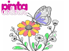                                                                       Pinta Colour ﻞﯿﮭﮐ