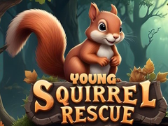                                                                       Young Squirrel Rescue ﻞﯿﮭﮐ