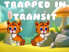                                                                       Trapped in Transit ﻞﯿﮭﮐ