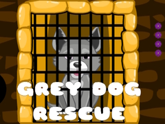                                                                       Grey Dog Rescue ﻞﯿﮭﮐ