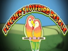                                                                       Fischer's Lovebird Rescue ﻞﯿﮭﮐ
