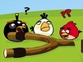                                                                       Angry Birds Go Crazy ﻞﯿﮭﮐ