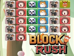                                                                       Block Rush ﻞﯿﮭﮐ