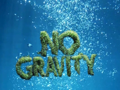                                                                       No Gravity ﻞﯿﮭﮐ