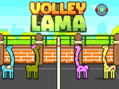                                                                       Volley Lama ﻞﯿﮭﮐ