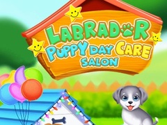                                                                       Labrador Puppy Daycare Salon ﻞﯿﮭﮐ