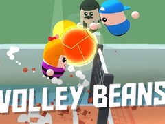                                                                       Volley Beans ﻞﯿﮭﮐ