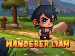                                                                      Wanderer Liam ﻞﯿﮭﮐ