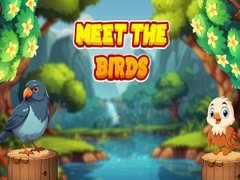                                                                       Meet The Birds  ﻞﯿﮭﮐ