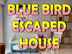                                                                       Blue Bird Escaped House ﻞﯿﮭﮐ