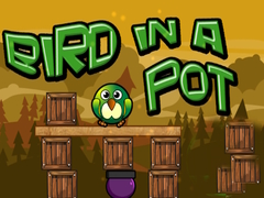                                                                       Bir In a Pot ﻞﯿﮭﮐ