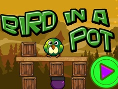                                                                       Bird In A Pot ﻞﯿﮭﮐ
