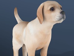                                                                       IDLE Pet ﻞﯿﮭﮐ