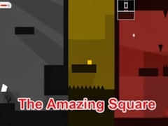                                                                       The Amazing Square ﻞﯿﮭﮐ