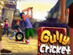                                                                       Gully Cricket ﻞﯿﮭﮐ