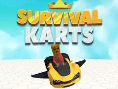                                                                       Survival Karts ﻞﯿﮭﮐ