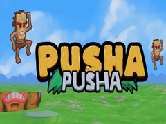                                                                       Pusha Pusha ﻞﯿﮭﮐ