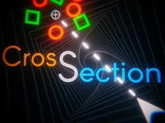                                                                       Cross Section ﻞﯿﮭﮐ