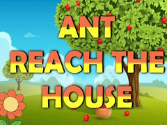                                                                       Ant Reach the House ﻞﯿﮭﮐ