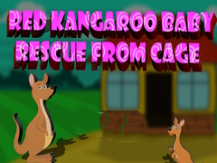                                                                       Red Kangaroo Baby Rescue from Cage ﻞﯿﮭﮐ