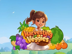                                                                       Harvesting Veggies ﻞﯿﮭﮐ