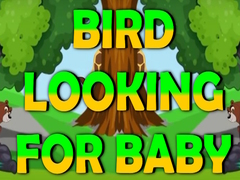                                                                       Bird Looking For Baby ﻞﯿﮭﮐ