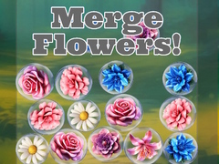                                                                       Merge Flowers! ﻞﯿﮭﮐ