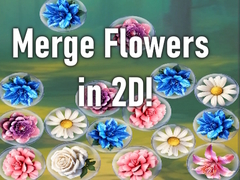                                                                       Merge Flowers in 2D! ﻞﯿﮭﮐ