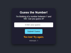                                                                       Number Guessing ﻞﯿﮭﮐ