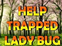                                                                       Help Trapped Lady Bug ﻞﯿﮭﮐ