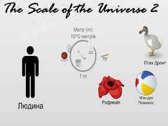                                                                       The Scale of the Universe 2 ﻞﯿﮭﮐ