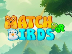                                                                       Match Pop Birds ﻞﯿﮭﮐ
