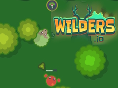                                                                       Wilders.io ﻞﯿﮭﮐ