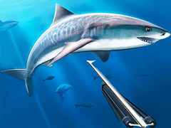                                                                       Hunting Underwater Spearfishing ﻞﯿﮭﮐ