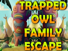                                                                       Trapped Owl Family Escape ﻞﯿﮭﮐ