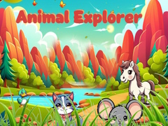                                                                       Animal Explorer  ﻞﯿﮭﮐ