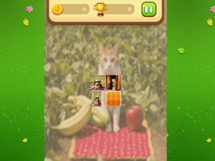                                                                       Farm Cat Memory Match ﻞﯿﮭﮐ