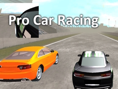                                                                       Pro Car Racing ﻞﯿﮭﮐ