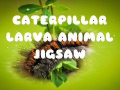                                                                       Caterpillar Larva Animal Jigsaw ﻞﯿﮭﮐ
