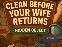                                                                       Clean Before Your Wife Returns Hidden Object ﻞﯿﮭﮐ