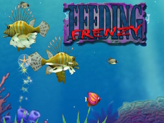                                                                       Feeding Frenzy ﻞﯿﮭﮐ