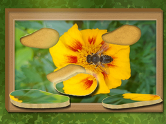                                                                       Find & Restore: Hidden Puzzle ﻞﯿﮭﮐ
