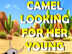                                                                       Camel Looking For Her Young ﻞﯿﮭﮐ