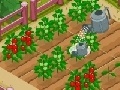                                                                       New Farmer 2 ﻞﯿﮭﮐ