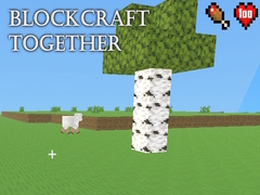                                                                       BlockCraft Together ﻞﯿﮭﮐ