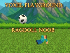                                                                       Voxel Playground: Ragdoll Noob ﻞﯿﮭﮐ
