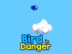                                                                       Bird in Danger ﻞﯿﮭﮐ